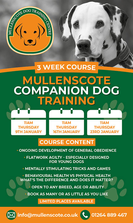 Companion Courses